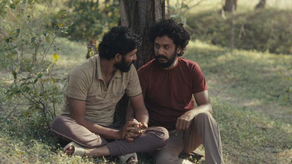 Two men sit closely together on the grass, leaning against a tree. They hold hands and look into each other's eyes, sharing an intimate moment in a peaceful, sunlit outdoor setting.